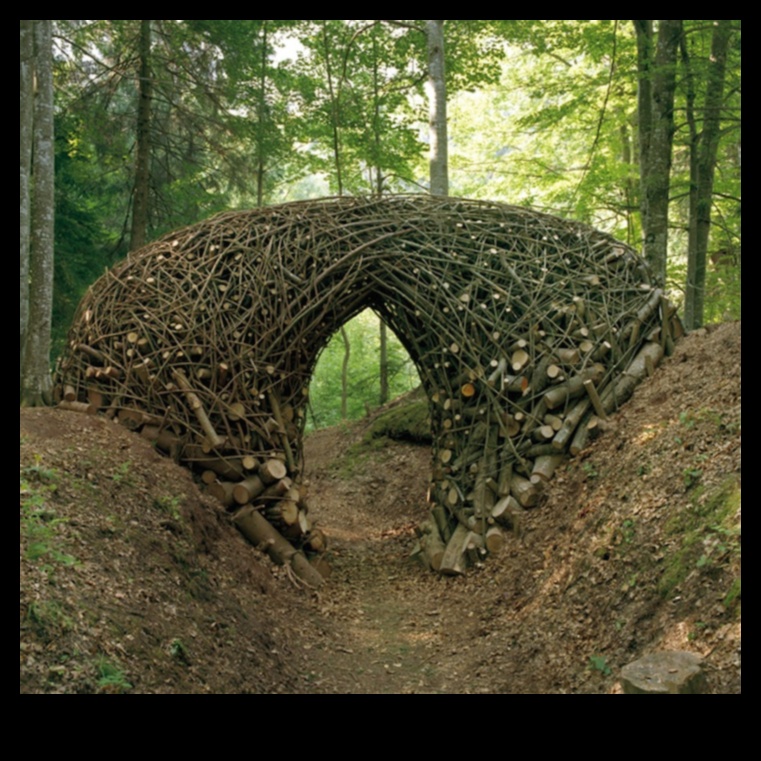 Escapade de artă ecologică: colaborări în natură și sculptură