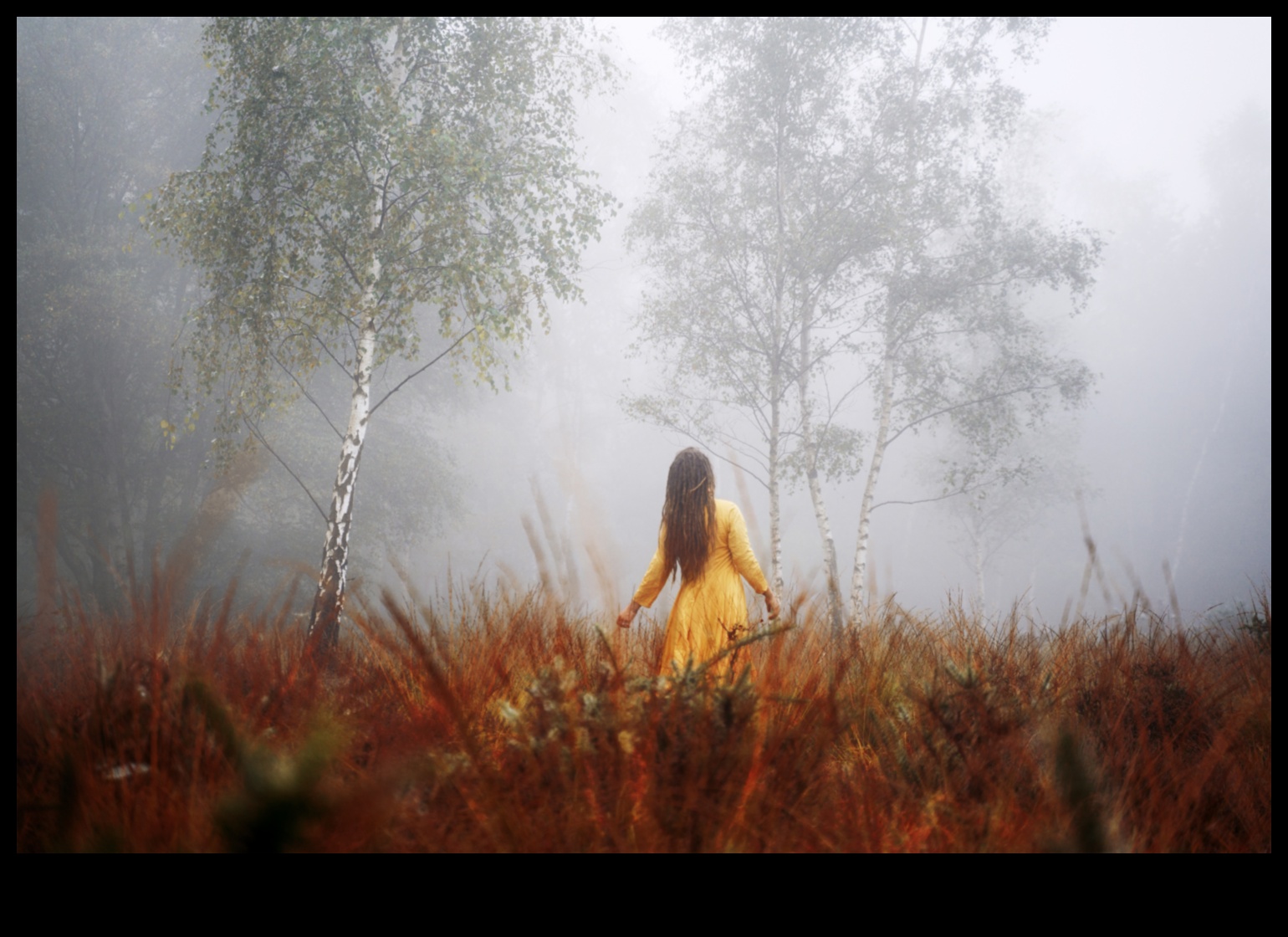 Explorații eterice: alte scene mondiale în fotografie de natură