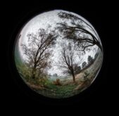 Fisheye Fantasia Explorează lumea printr-o nouă lentilă